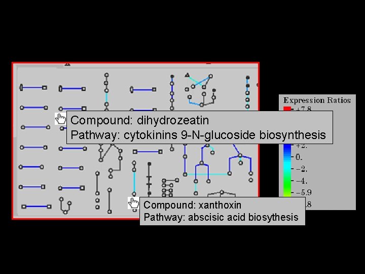 Compound: dihydrozeatin Pathway: cytokinins 9 -N-glucoside biosynthesis Compound: xanthoxin Pathway: abscisic acid biosythesis 20