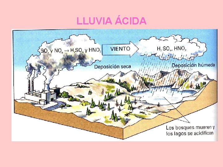 LLUVIA ÁCIDA 