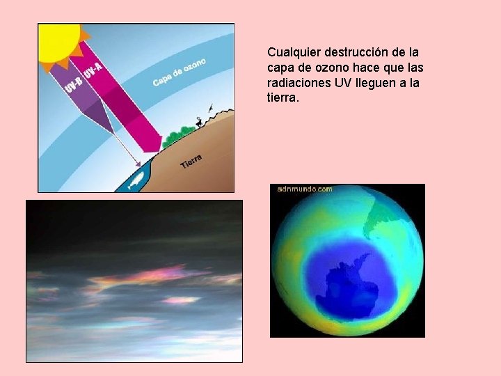 Cualquier destrucción de la capa de ozono hace que las radiaciones UV lleguen a