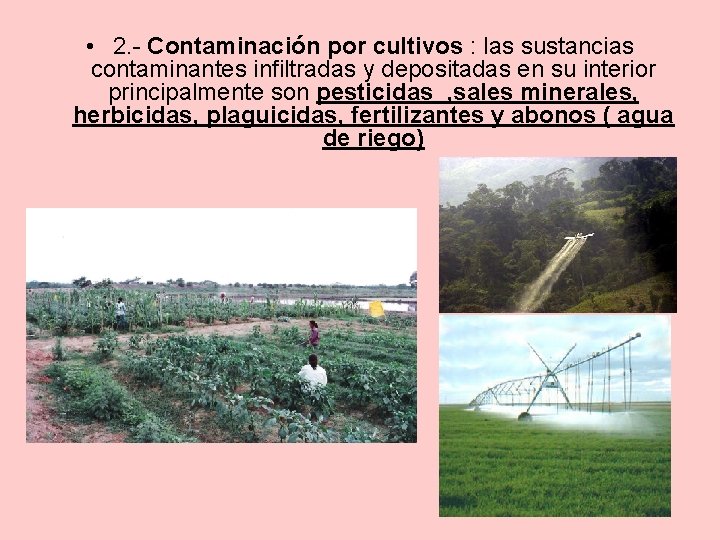  • 2. - Contaminación por cultivos : las sustancias contaminantes infiltradas y depositadas