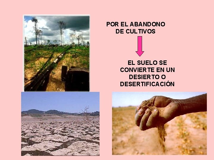 POR EL ABANDONO DE CULTIVOS EL SUELO SE CONVIERTE EN UN DESIERTO O DESERTIFICACIÓN