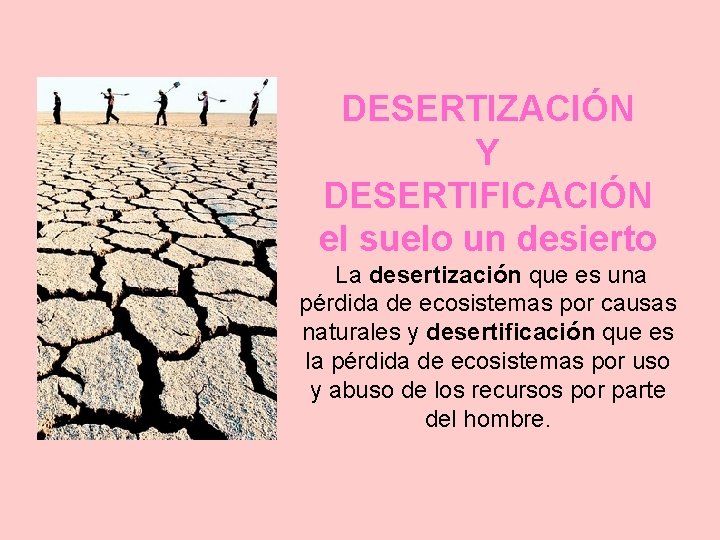 DESERTIZACIÓN Y DESERTIFICACIÓN el suelo un desierto La desertización que es una pérdida de