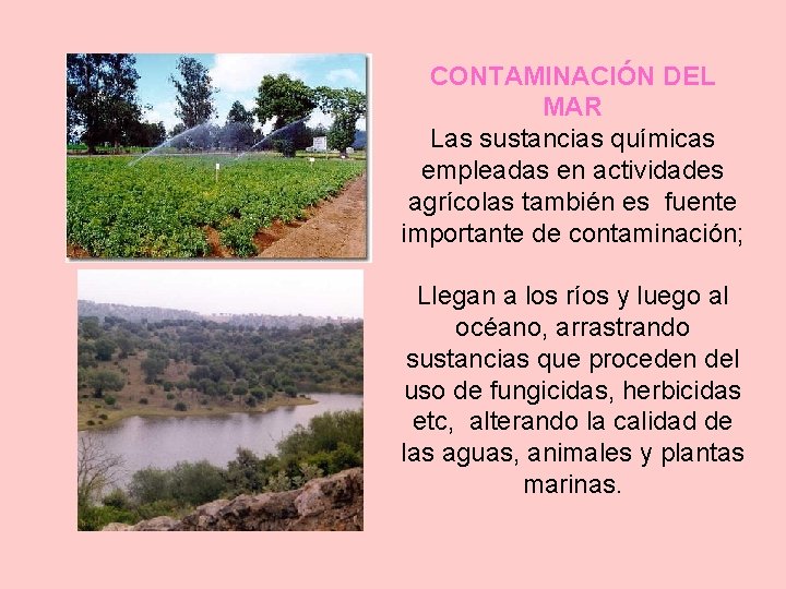 CONTAMINACIÓN DEL MAR Las sustancias químicas empleadas en actividades agrícolas también es fuente importante