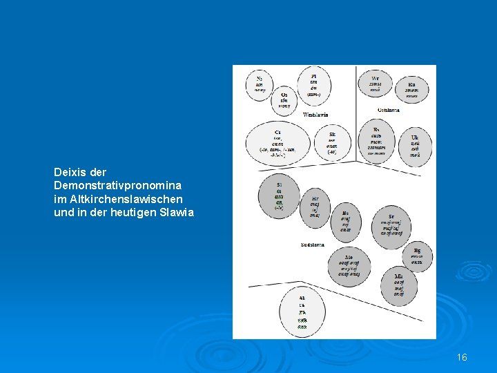 Deixis der Demonstrativpronomina im Altkirchenslawischen und in der heutigen Slawia 16 