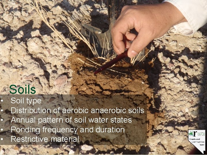  • • • Soils Soil type Distribution of aerobic anaerobic soils Annual pattern
