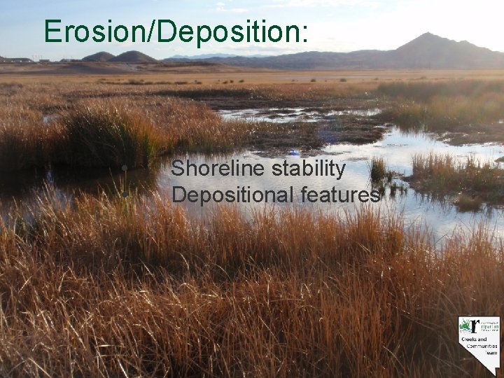 Erosion/Deposition: • • Shoreline stability Depositional features 