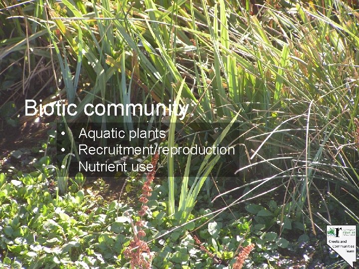Biotic community: • Aquatic plants • Recruitment/reproduction • Nutrient use 