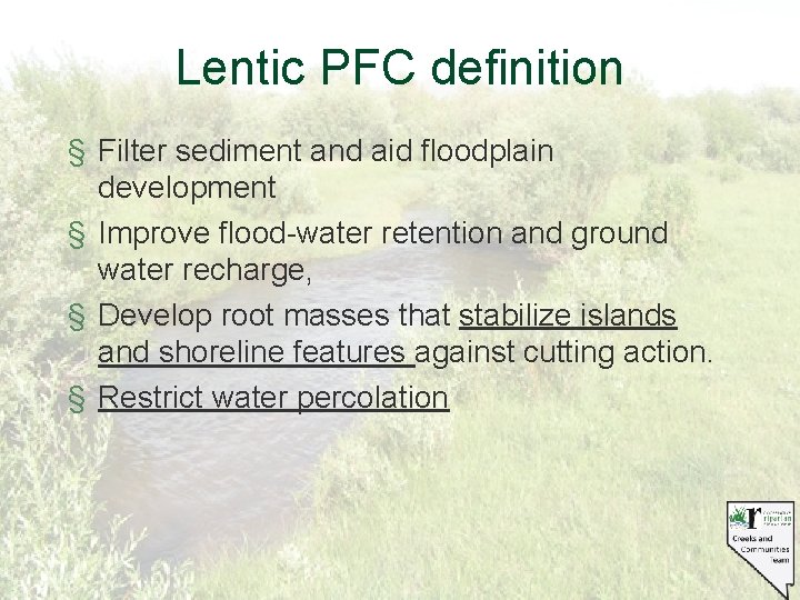 Lentic PFC definition § Filter sediment and aid floodplain development § Improve flood-water retention