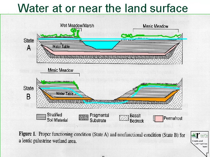 Water at or near the land surface 