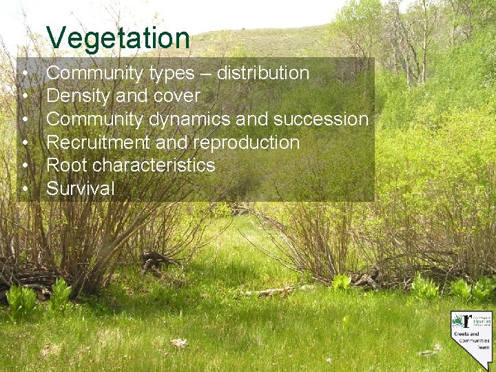 Vegetation • • • Community types – distribution Density and cover Community dynamics and