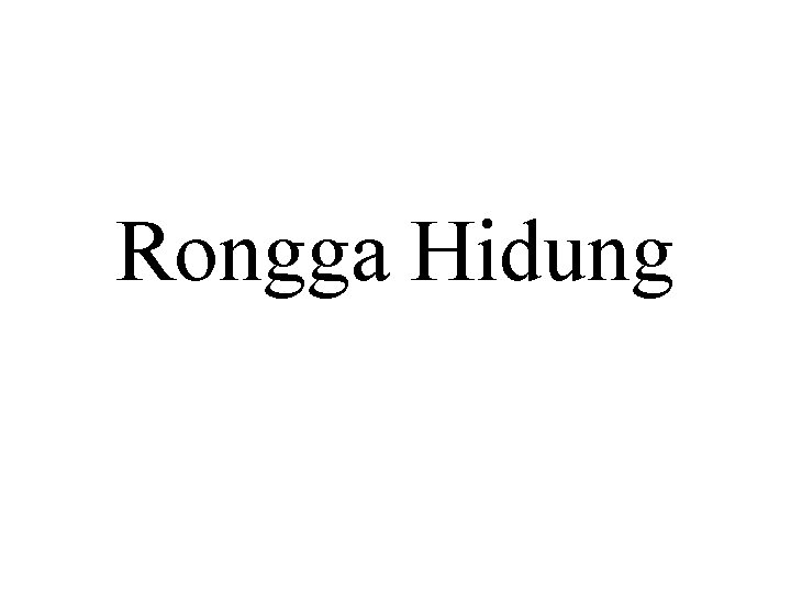 Rongga Hidung 