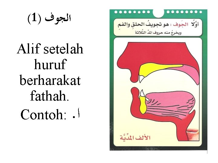 (1) ﺍﻟﺠﻮﻑ Alif setelah huruf berharakat fathah. Contoh: . ﺍ 