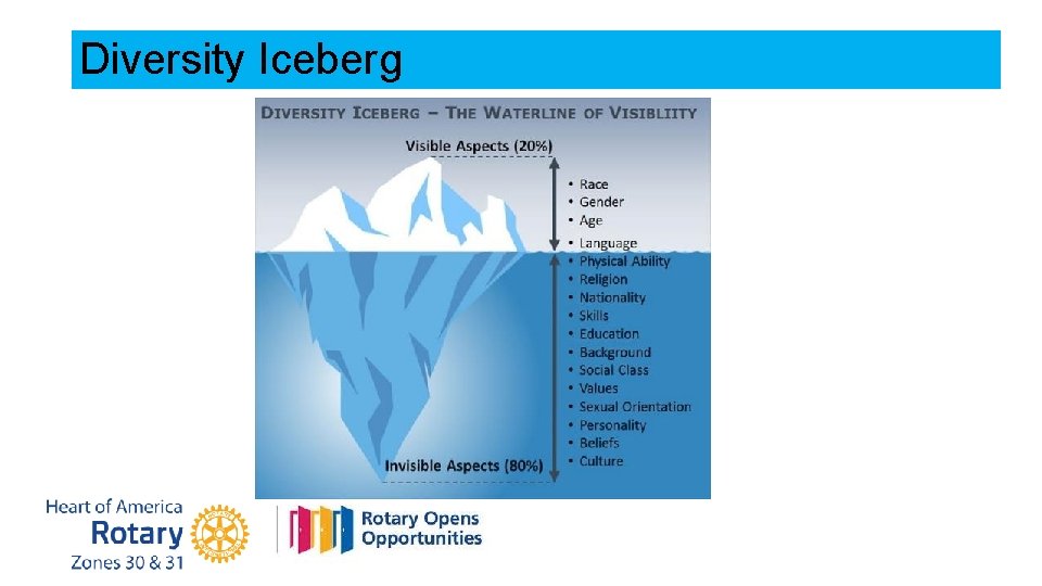 Diversity Iceberg 