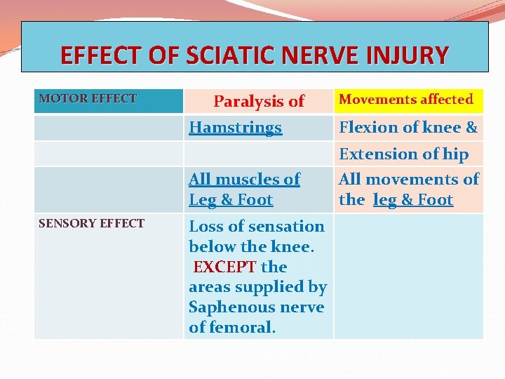 EFFECT OF SCIATIC NERVE INJURY MOTOR EFFECT SENSORY EFFECT Paralysis of Movements affected Hamstrings