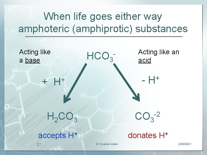 When life goes either way amphoteric (amphiprotic) substances Acting like a base HCO 3