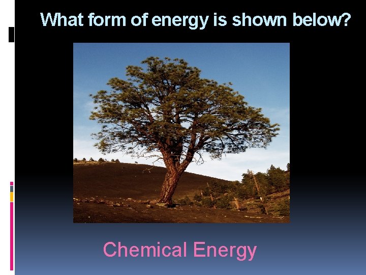 What form of energy is shown below? Chemical Energy 