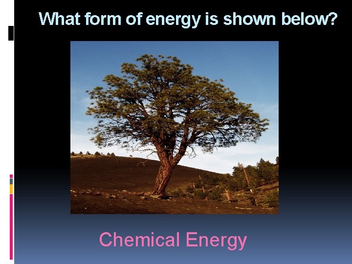 What form of energy is shown below? Chemical Energy 