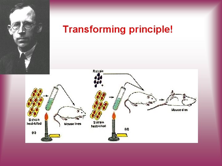 Transforming principle! 