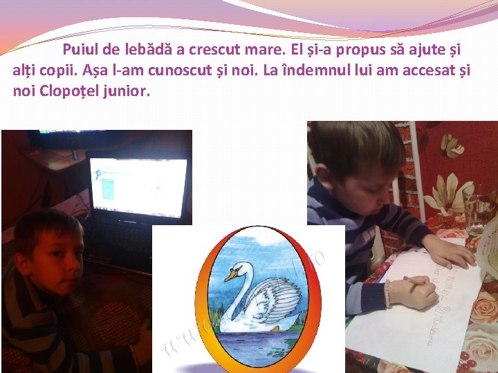 Puiul de lebădă a crescut mare. El și-a propus să ajute și alți copii. Puiul de lebădă a crescut mare. El și-a propus să ajute și alți copii.