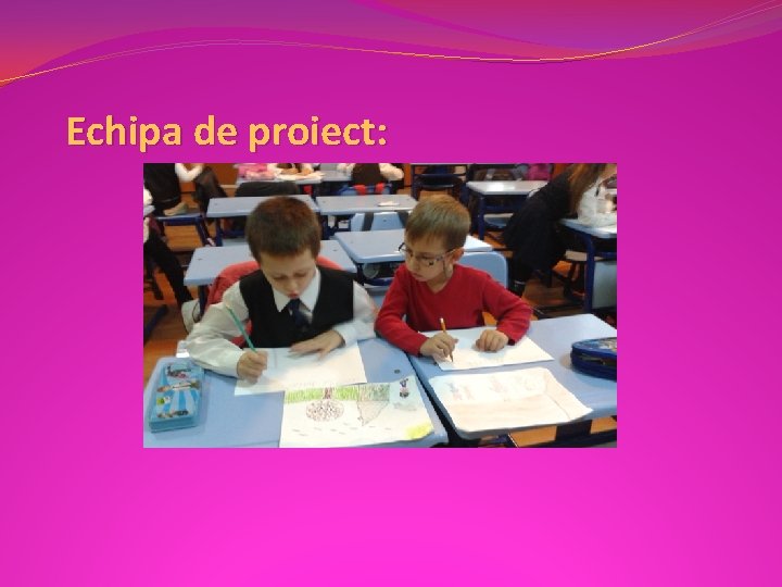 Echipa de proiect: Echipa de proiect: