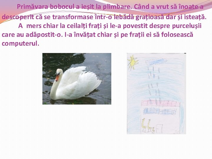Primăvara bobocul a ieșit la plimbare. Când a vrut să înoate a descoperit că Primăvara bobocul a ieșit la plimbare. Când a vrut să înoate a descoperit că