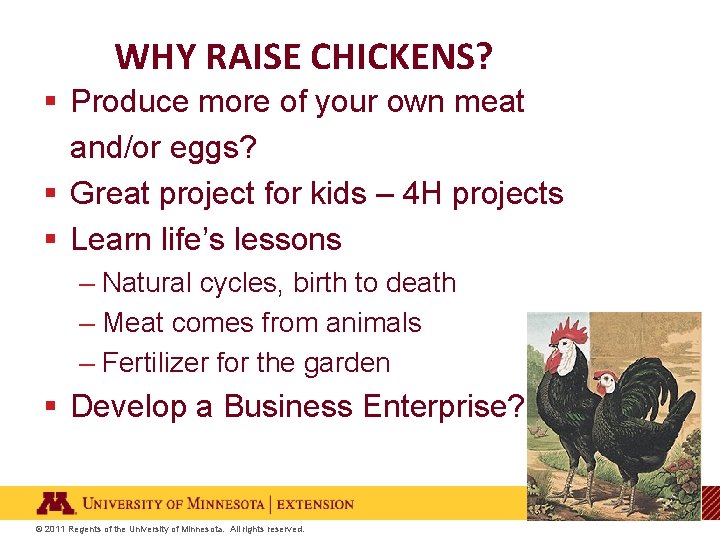 WHY RAISE CHICKENS? § Produce more of your own meat and/or eggs? § Great
