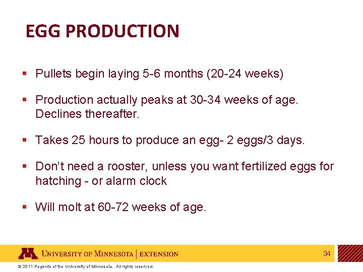 EGG PRODUCTION § Pullets begin laying 5 -6 months (20 -24 weeks) § Production