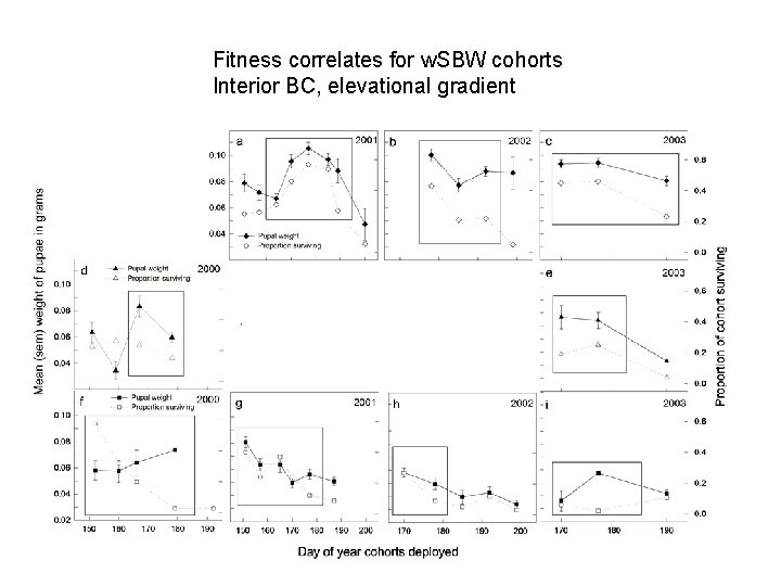 Fitness correlates for w. SBW cohorts Interior BC, elevational gradient 