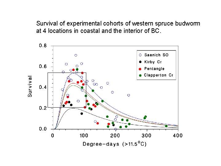 Survival of experimental cohorts of western spruce budworm at 4 locations in coastal and