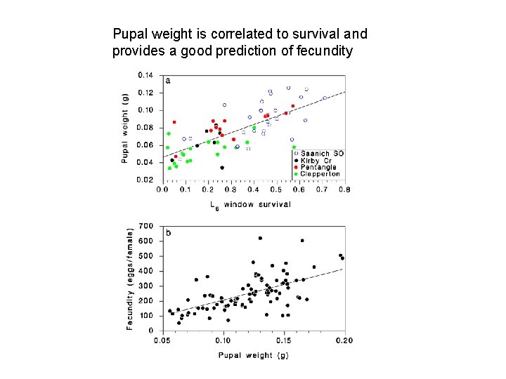 Pupal weight is correlated to survival and provides a good prediction of fecundity 