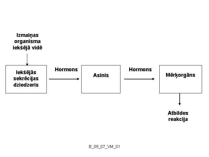 Izmaiņas organisma iekšējā vidē Iekšējās sekrēcijas dziedzeris Hormons Asinis Hormons Mērķorgāns Atbildes reakcija B_09_07_VM_01