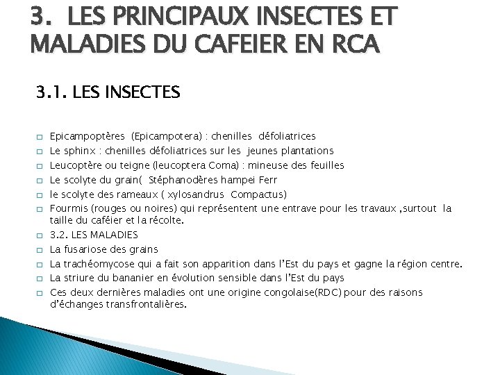 3. LES PRINCIPAUX INSECTES ET MALADIES DU CAFEIER EN RCA 3. 1. LES INSECTES