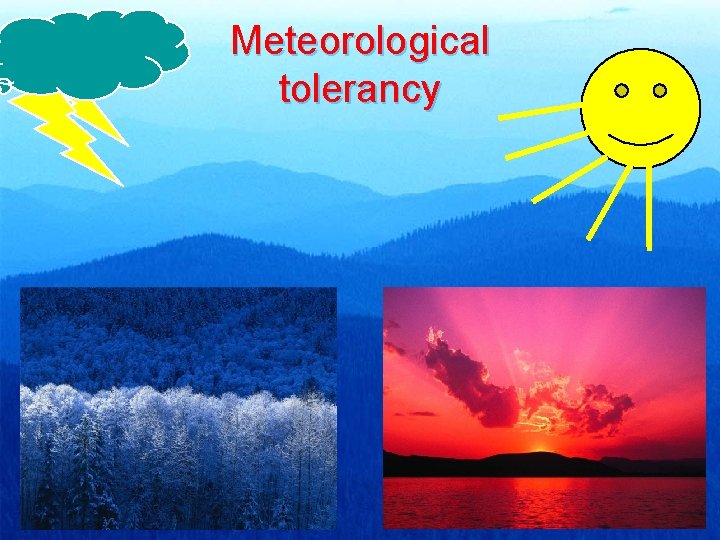 Meteorological tolerancy 