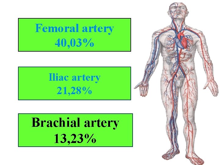 Femoral artery 40, 03% Iliac artery 21, 28% Brachial artery 13, 23% 