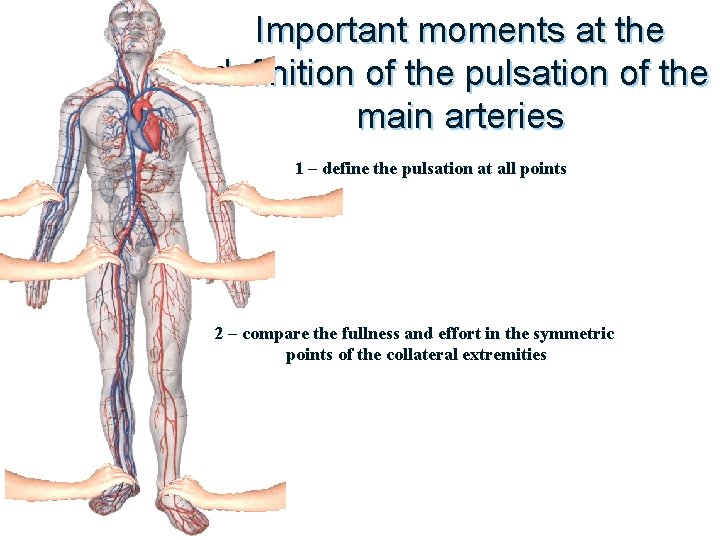 Important moments at the definition of the pulsation of the main arteries 1 –