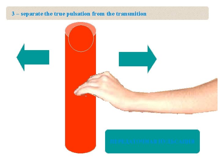 3 – separate the true pulsation from the transmition ПЕРЕДАТОЧНАЯ ИСТИННАЯ ПУЛЬСАЦИЯ 