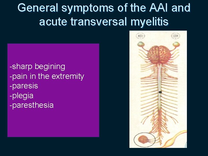 General symptoms of the AAI and acute transversal myelitis -sharp begining -pain in the