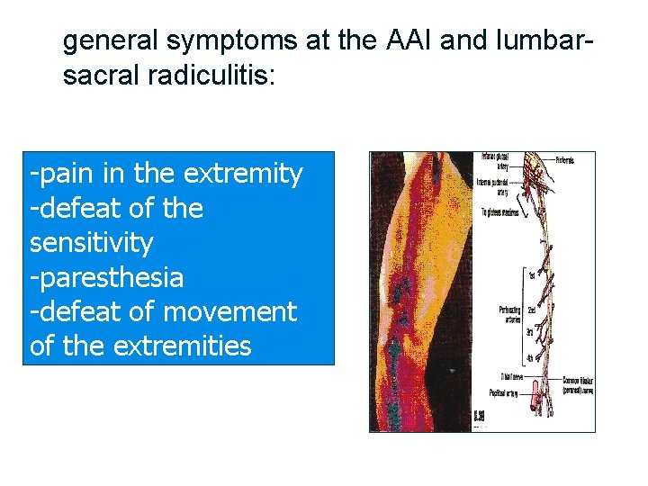  general symptoms at the AAI and lumbar sacral radiculitis: -pain in the extremity