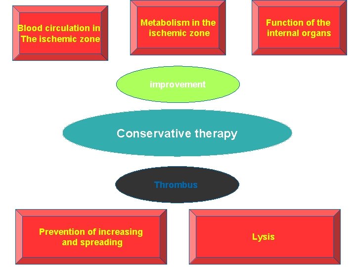 Blood circulation in The ischemic zone Metabolism in the ischemic zone Function of the