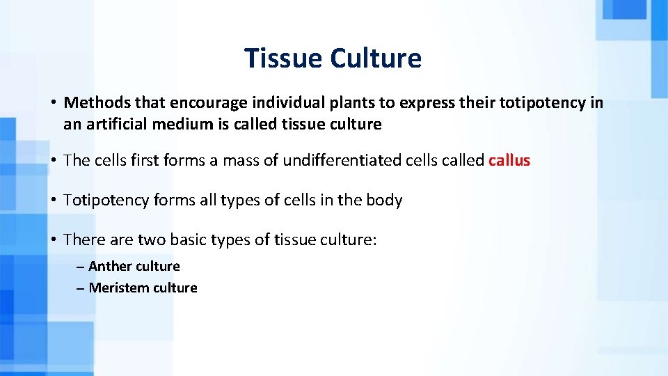Tissue Culture • Methods that encourage individual plants to express their totipotency in an