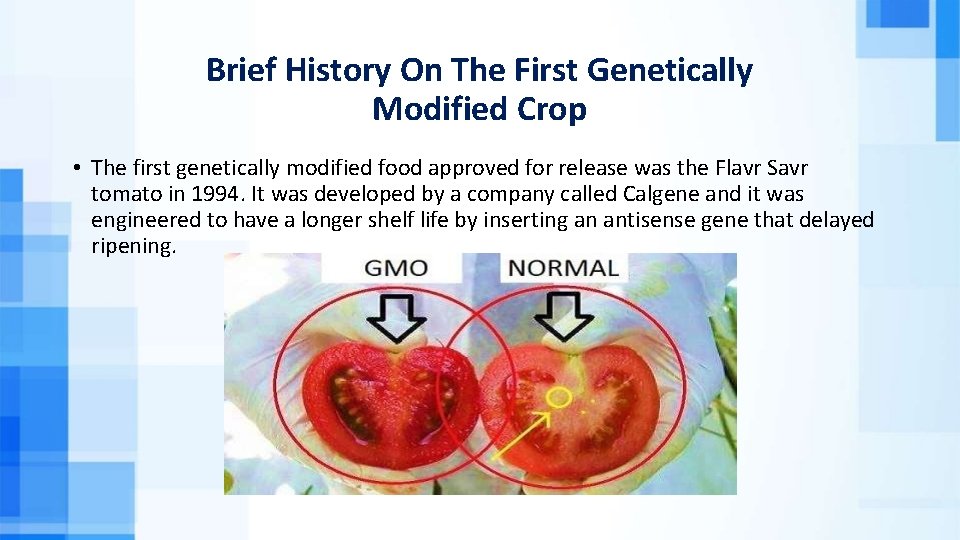 Brief History On The First Genetically Modified Crop • The first genetically modified food