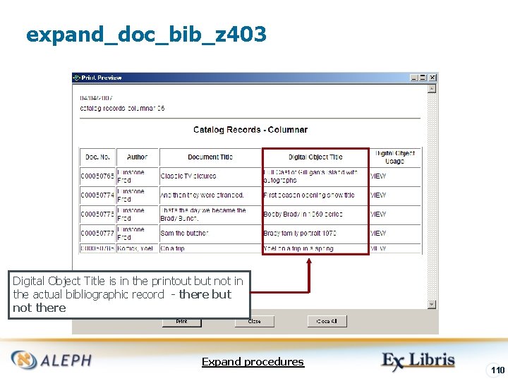 expand_doc_bib_z 403 Digital Object Title is in the printout but not in the actual
