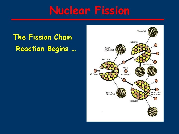 Nuclear Fission The Fission Chain Reaction Begins … 