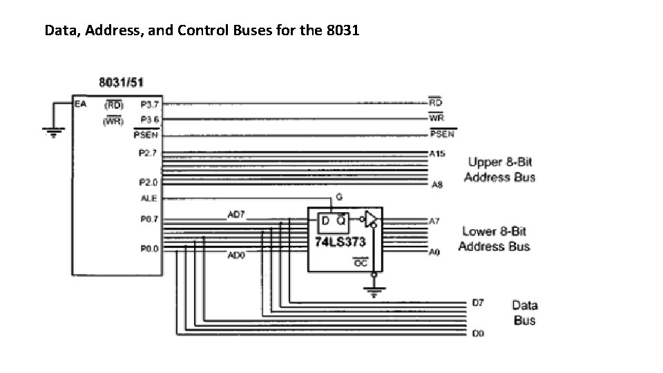 Data, Address, and Control Buses for the 8031 