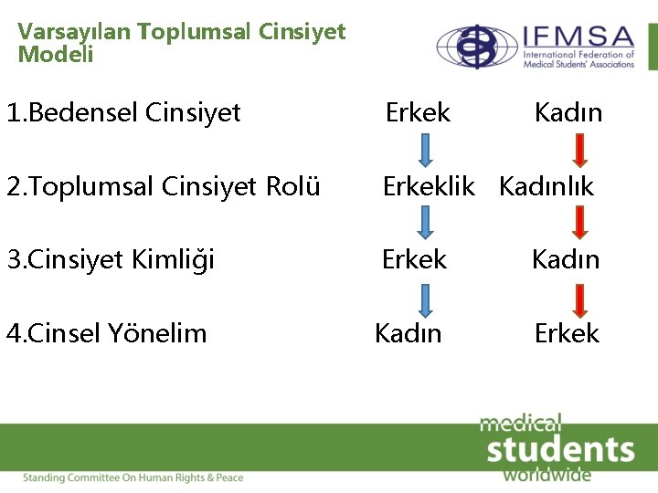 Varsayılan Toplumsal Cinsiyet Modeli 1. Bedensel Cinsiyet Erkek Kadın 2. Toplumsal Cinsiyet Rolü Erkeklik