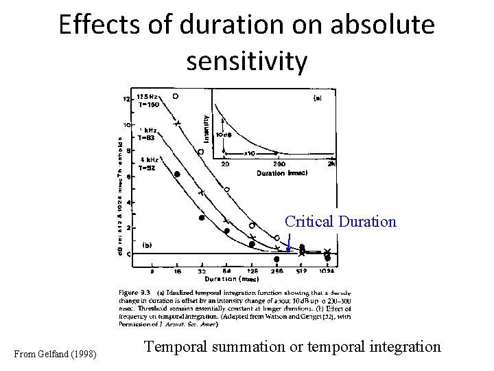 Effects of duration on absolute sensitivity Critical Duration From Gelfand (1998) Temporal summation or