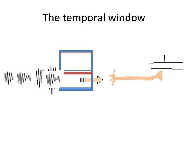 The temporal window 