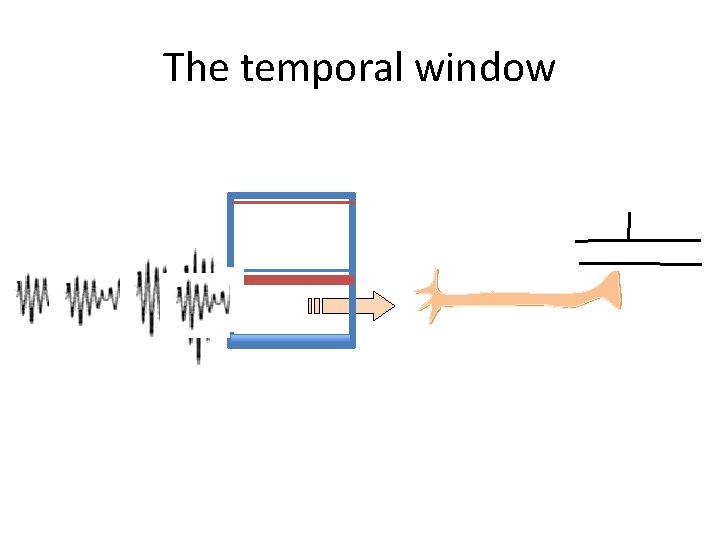 The temporal window The temporal window