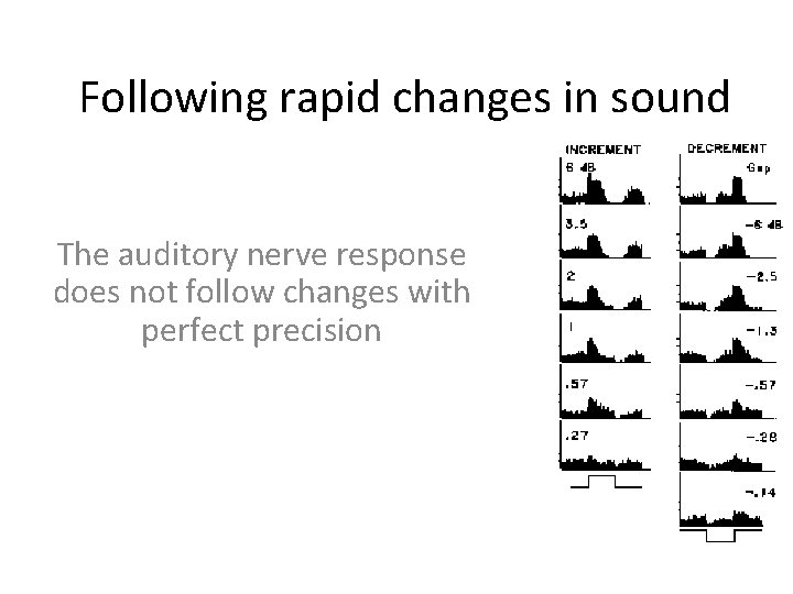 Following rapid changes in sound The auditory nerve response does not follow changes with