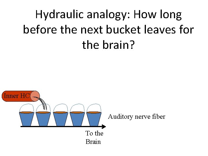 Hydraulic analogy: How long before the next bucket leaves for the brain? Inner HC Hydraulic analogy: How long before the next bucket leaves for the brain? Inner HC